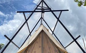 The Backyard Glamping